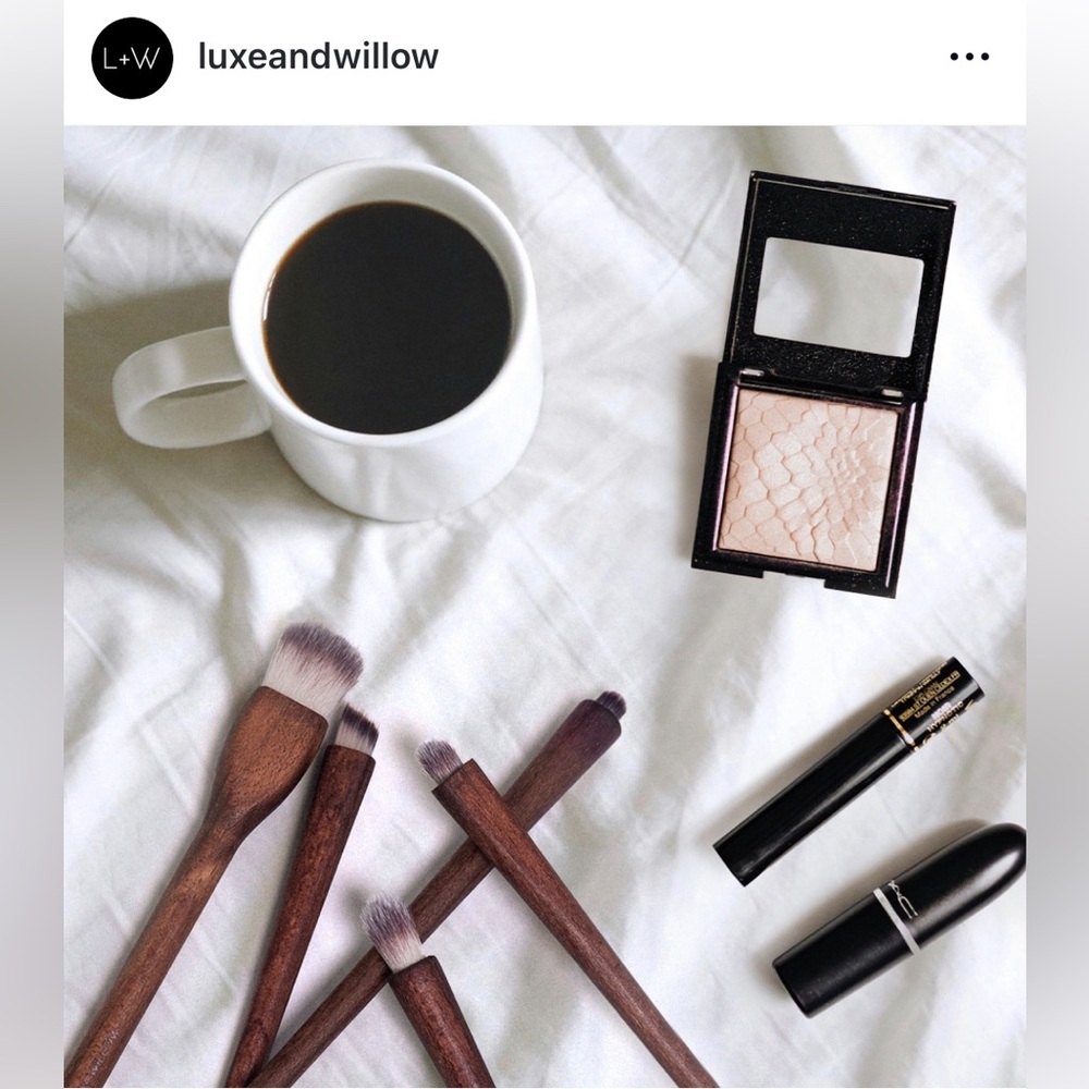NWT Luxe & Willow 6 Piece Makeup Brush Set with Pouch
